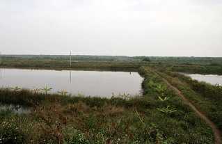 Kiểm điểm ban chỉ huy quân sự huyện Tiên Lãng