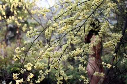 Tắm nude trong rừng là biểu hiện băng hoại đạo đức?