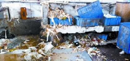 Khử trùng đồ ăn uống bằng... nước thối lẫn băng vệ sinh