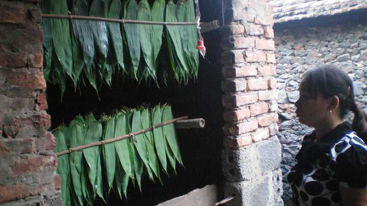 Kiếm tiền tỷ từ bán... lá tre