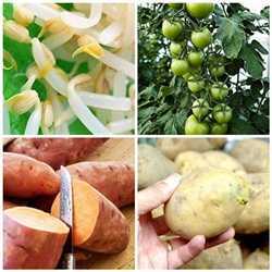 8 thực phẩm thường ngày có thể ... hại người