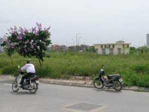 Hàng loạt khu