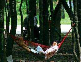 Phát hiện người đàn ông đã chết nằm trên võng