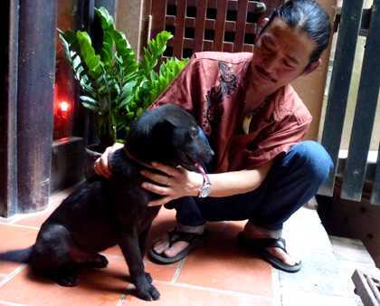 Chó lai sói trong huyền thoại xuất hiện ở Hà Nội (kỳ 2)