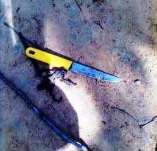 Yêu đơn phương, vác dao đâm 'người trong mộng'