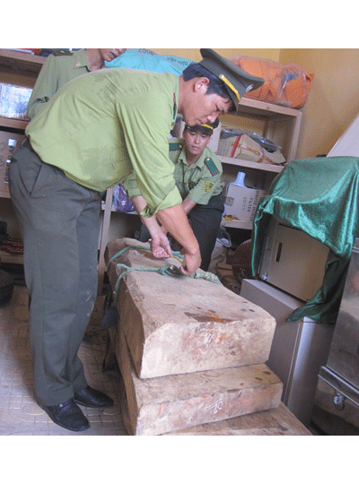 Thu giữ 5 phách gỗ sưa trị giá 10 tỉ đồng