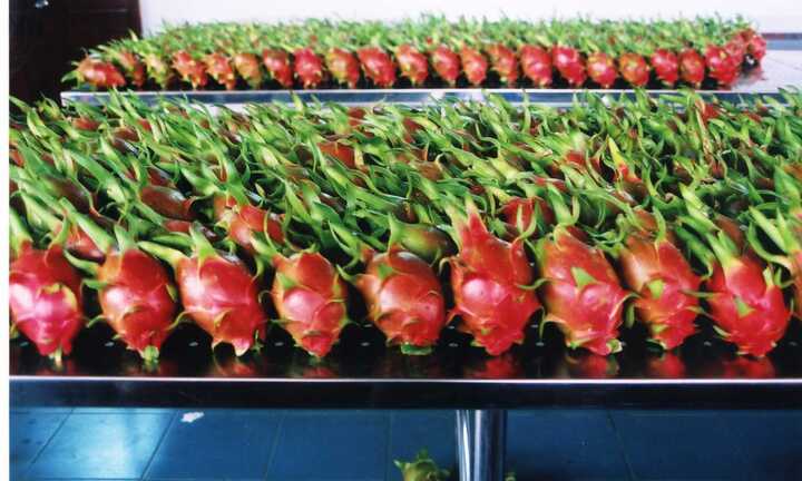 Rau quả, thịt bẩn thành sạch: Tại sao không?