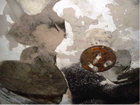 Video: Nhà khoa học tiếp cận 'bé gái gây cháy'