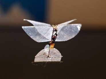 Cánh bướm do thám siêu nhẹ của quân đội Israel