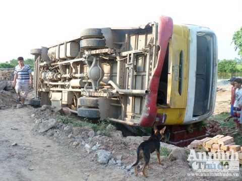 Hà Nội: Xe buýt lao xuống đê, 9 người bị thương