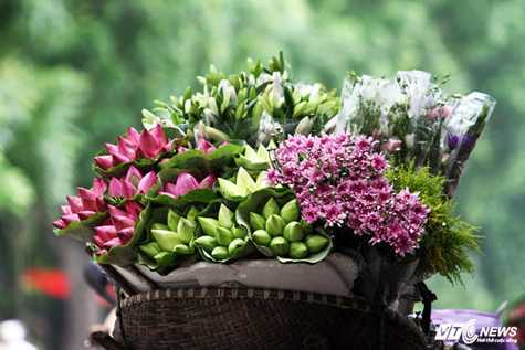 Ảnh: 'Hình như...ai vừa mang sen về cho hương toả phố'