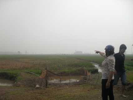 Bộ TNMT vào cuộc vụ 2 triệu đồng/5000m2 đất