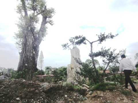 Video, ảnh: 'Siêu vườn' vẫn đang được hoàn thiện