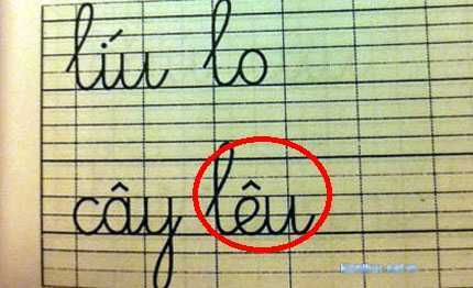 Tác giả vở tiếng Việt sai giật mình: Tôi không có lỗi
