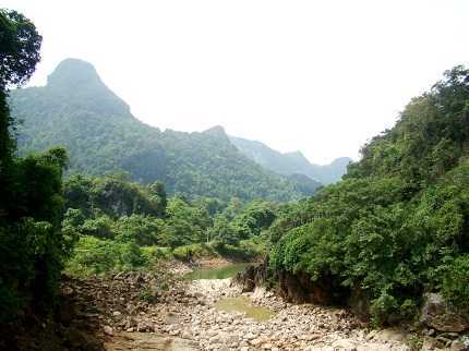 Vụ gỗ huê trăm tỷ: Toàn bộ nghi can đã đến trình diện