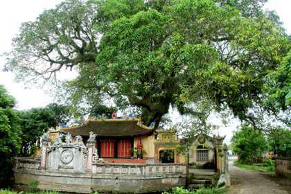 Phát hiện nơi sinh hạ vua Lê Thánh Tông