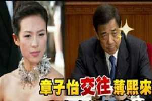 Chương Tử Di: Tôi chưa bao giờ gặp Bạc Hy Lai