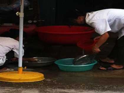 Trẻ ăn cơm 'cám lợn', trường đá trách nhiệm cho Bộ y tế