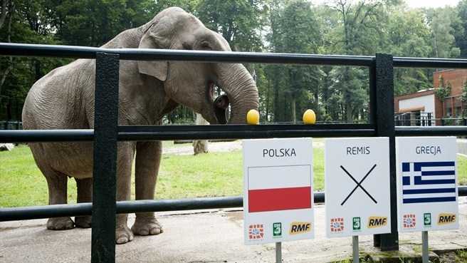 Euro 24h: Voi tiên tri đặt cửa Ba Lan ngày khai mạc