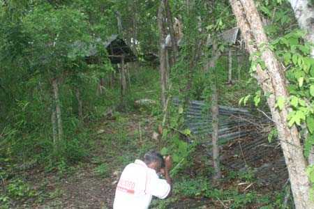 Lạnh người theo dấu 'chim ma' ở nhà mồ