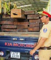 Xe chở gỗ quý chạy vào nhà Bí thư huyện