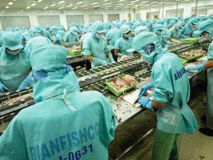 Hàng loạt gói giải pháp của ngân hàng, DN vẫn 'chết'