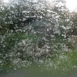 Nọc ong làm kem dưỡng da: Đắt gấp 8 lần vàng