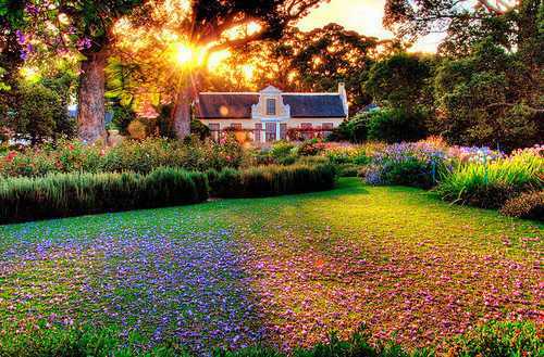 Tạo vẻ đẹp ấn tượng cho khu vườn nhà bạn