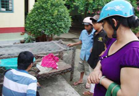 Đổ xô đi xem 'rồng' ở Bến Tre