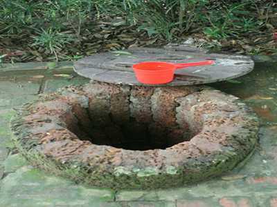 Chuyện ly kỳ về bầu vú mẹ trên đồi Hổ gầm