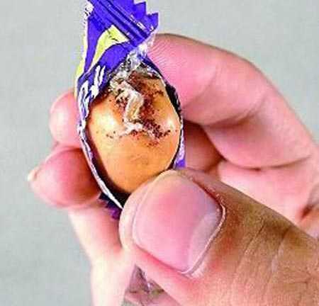 Người tiêu dùng khiếp vía vì kẹo chứa sâu
