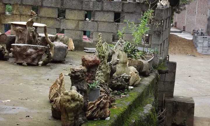 'Băm nát' động Ngườm Ngao lấy nhũ làm cảnh