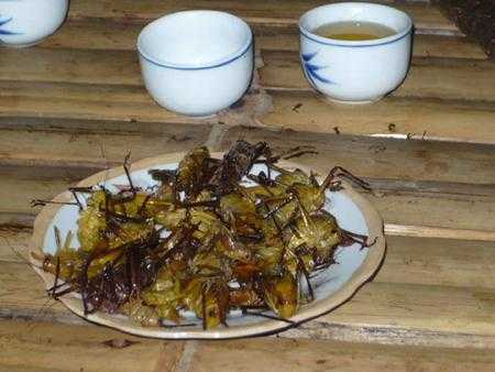 Thú vị chuyện lên rừng săn… cành cạch