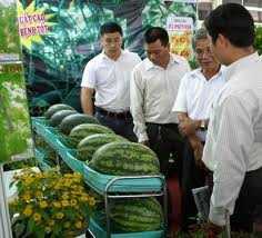 Làm thế nào để tăng giá trị sản phẩm nông nghiệp VN?