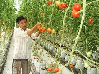 ‘Mỏ vàng’ doanh nghiệp quên chưa đào