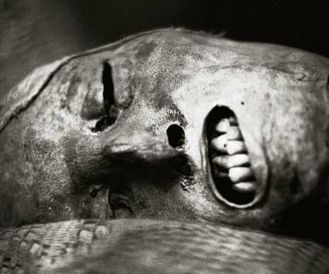 8.000 xác ướp bí ẩn trong hầm mộ Sicily