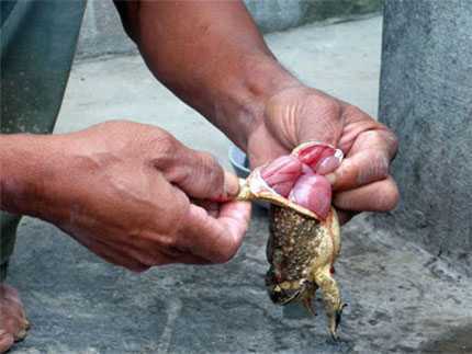 Bố thiếu hiểu biết, bé 11 tháng tuổi suýt chết