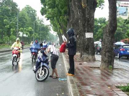 Kiếm tiền triệu từ những cơn mưa bất chợt