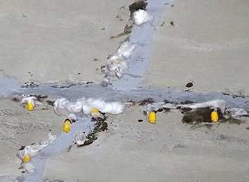 Nứt, thấm hầm vượt sông Sài Gòn: Dân ngại qua hầm