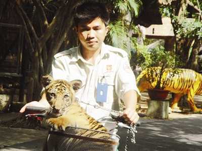 Lạ lùng nơi hổ đẻ như… mèo