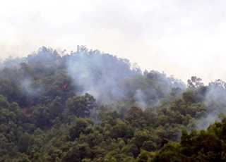 Cháy rừng, nhiều bồn xăng dầu dọa phát nổ