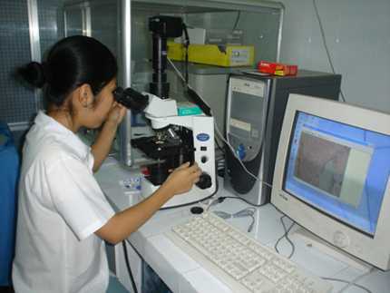 Ly kỳ “hoa máu” tố cáo kẻ đâm nạn nhân 140 nhát