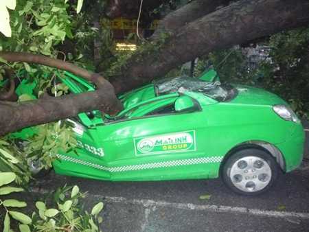 Tài xế taxi bị đè chết: Ai chưa làm hết trách nhiệm?