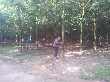 'Đại gia' đồn điền bị bắt: Nỗi lo sau 'lệnh' triệu tập