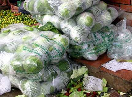 Nghi tử vong sau khi ăn bắp cải trái mùa