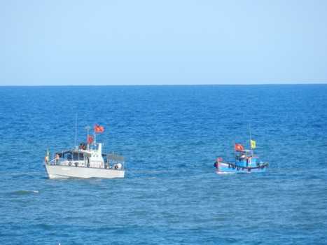 Hơn 2.300 người diễn tập ứng phó với sóng thần