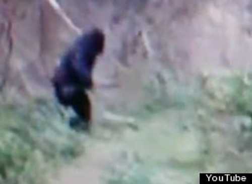 Dã nhân khổng lồ mình đầy lông lá xôn xao YouTube