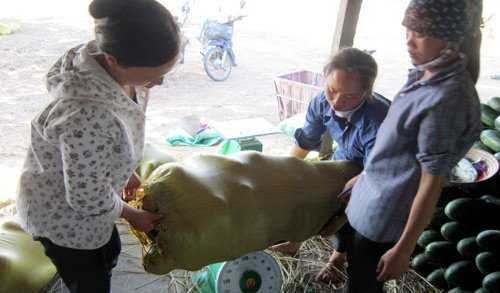 Tỷ phú chân đất trên 'phố dưa' Vĩnh Tường