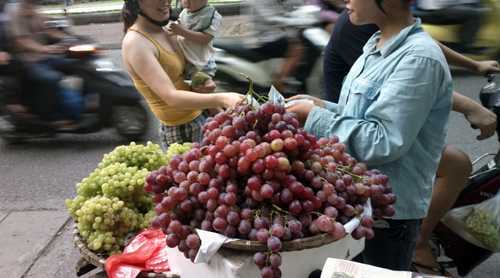 Bán nho Mỹ 'dỏm' thu nhập ngang... giám đốc