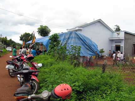 Vừa thi đậu đại học, nữ sinh bị ong vò vẽ đốt chết